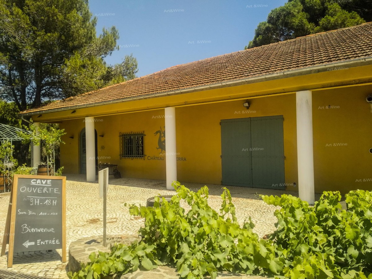 Chateau Volterra - budynki winnicy