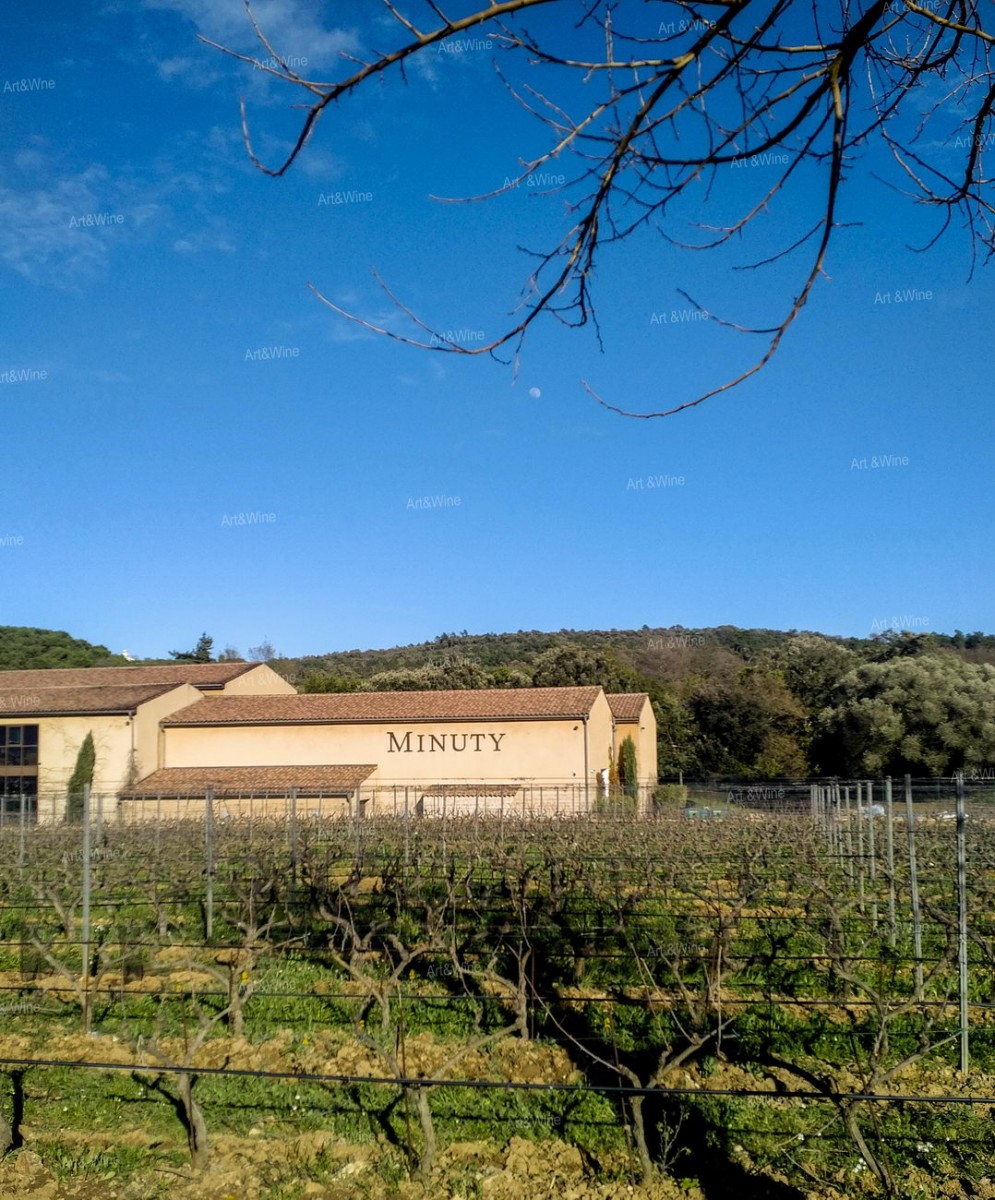 Chateau Minuty - wineyards buildings
